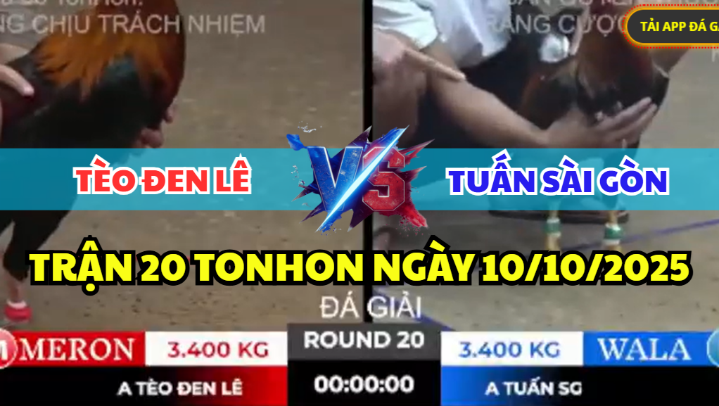 TRẬN 20 TONHON NGÀY 10/10/2025 - TÈO ĐEN LÊ ĐỐI ĐẦU ANH TUẤN SÀI GÒN 2 trận 20 tonhon ngày 10/10/2025 hôm nay giữa tèo đen lê vs tuấn sài gòn