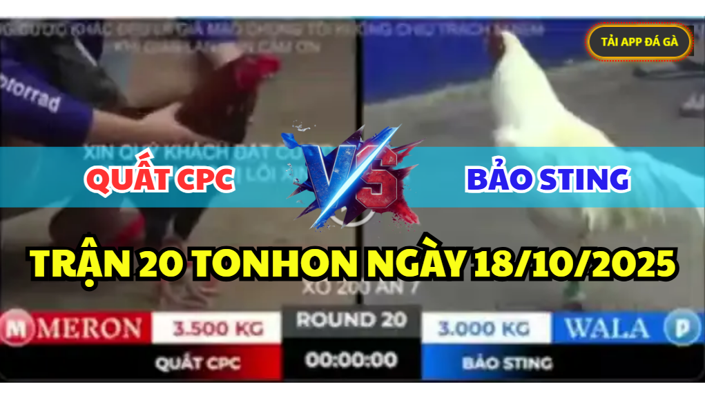 TRẬN 20 TONHON NGÀY 18/10/2025 - ANH BẢO STING CHẤP 5 CHẤM LỤM XỔ 200 7 trận 20 tonhon ngày 18/10/2025 hôm nay giữa anh bảo sting vs anh quất cpc