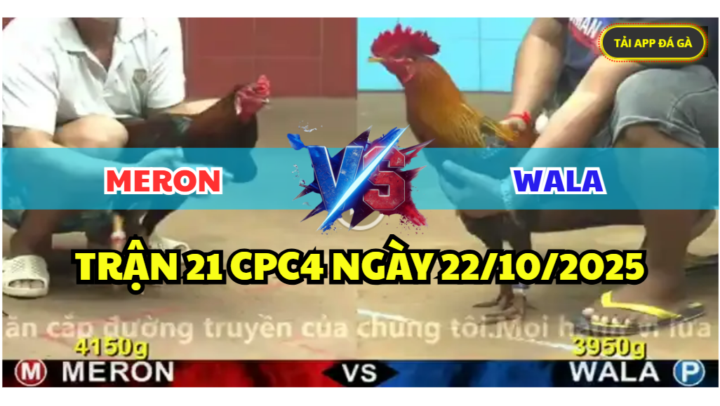 TRẬN 21 CPC4 NGÀY 22/10/2025 - ĐIỀU XANH CHẠY KHỎI BỒ VỠ ĐÒN 1 trận 21 cpc4 ngày 22/10/2025 hôm nay