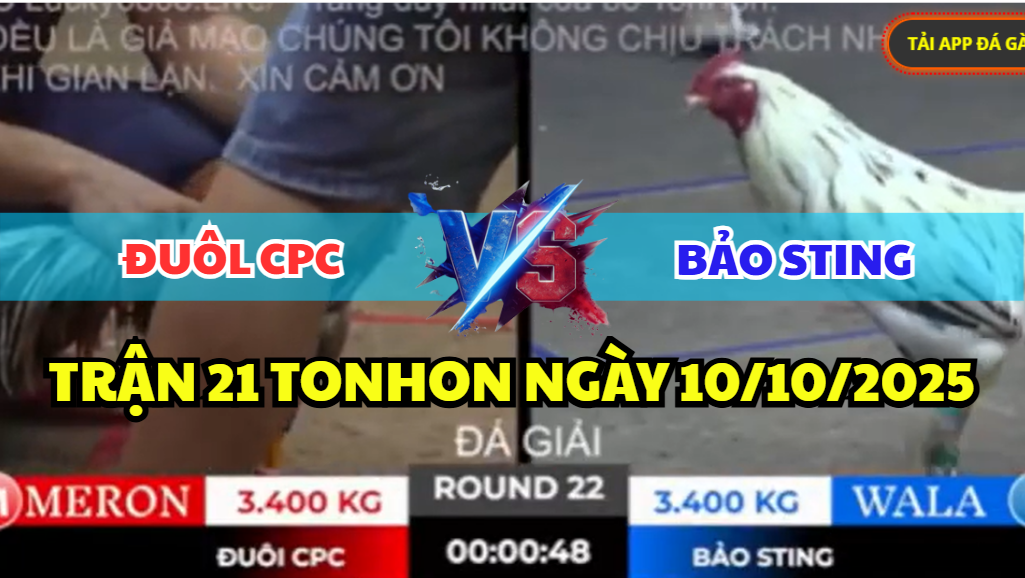 TRẬN 22 TONHON NGÀY 10/10/2025 - BẢO STING VS ĐUÔL CPC 3 ĐIỂM ĐẦU TIÊN 6 trận 22 tonhon ngày 10/10/2025 hôm nay giữa bảo sting đuôl cpc