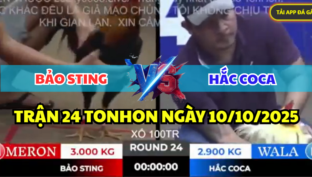 TRẬN 24 TONHON NGÀY 10/10/2025 - BẢO STING BAO NGUYÊN BỒ VỚI ANH HẮC COCA 4 trận 24 tonhon ngày 10/10/2025 hôm nay giữa bảo sting vs hắc coca