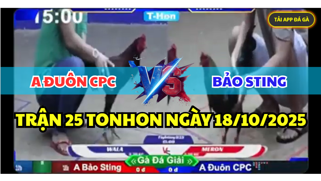 TRẬN 25 TONHON NGÀY 18/10/2025 - BẢO STING VS ANH ĐUÔN CPC 5 trận 25 tonhon ngày 18/10/2025 hôm nay giữa bảo sting vs anh đuôn cpc