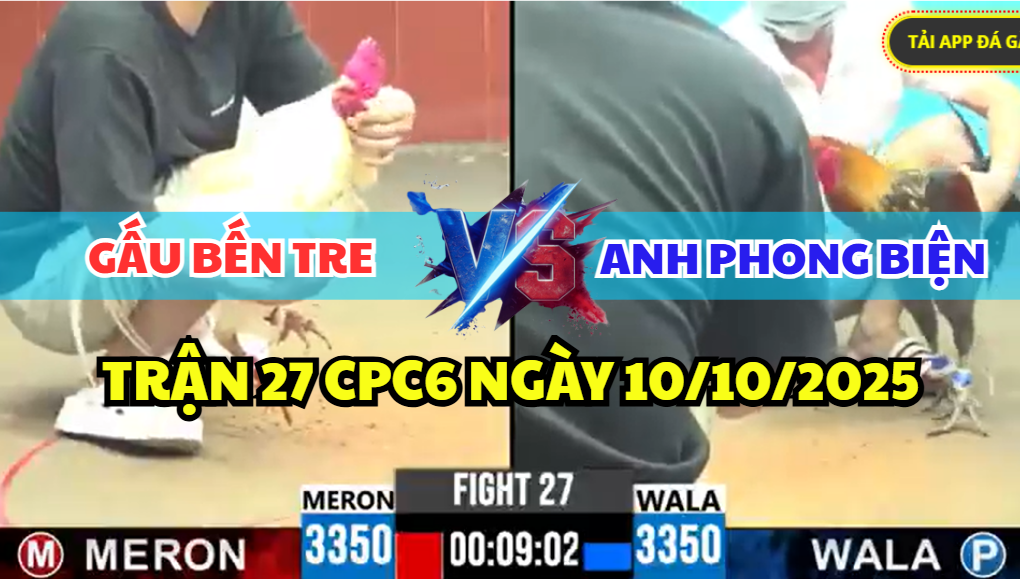 TRẬN 27 CPC6 NGÀY 13/10/2025 - GẤU BẾN TRE VS PHONG BIỆN 3 trận 27 cpc5 ngày 13/10/2025 hôm nay