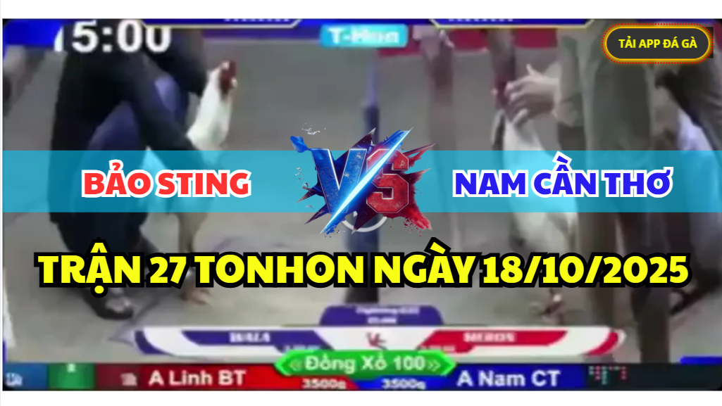 TRẬN 27 TONHON NGÀY 18/10/2025 - ANH BẢO STING VS ANH NAM CẦN THƠ 4 trận 27 tonhon ngày 18/10/2025 hôm nay giữa bảo sting vs nam cần thơ