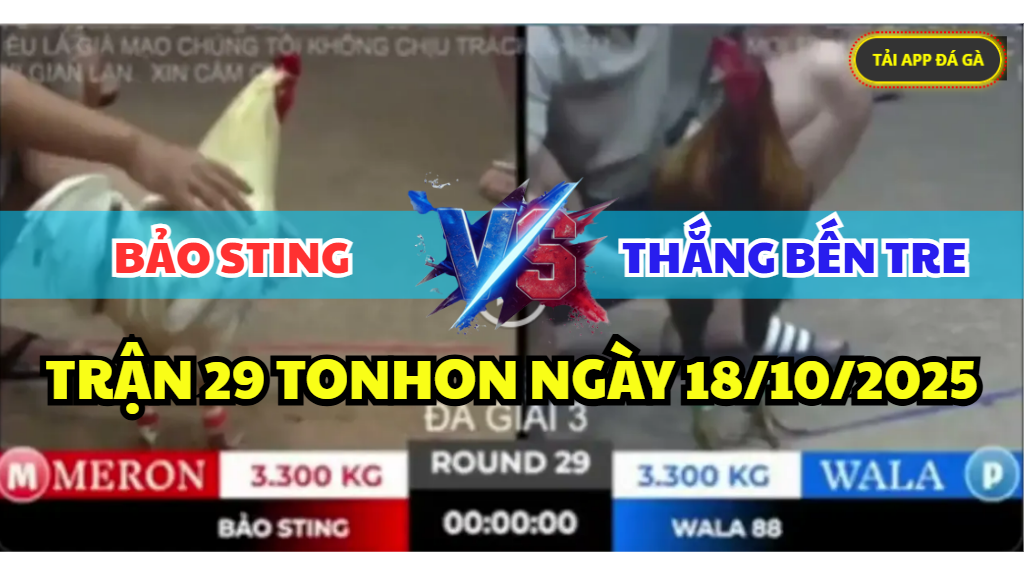 TRẬN 29 TONHON NGÀY 18/10/2025 - ANH BẢO STING VS THẮNG BẾN TRE 3 trận 29 tonhon ngày 18/10/2025 hôm nay giữa bảo sting vs thắng bến tre