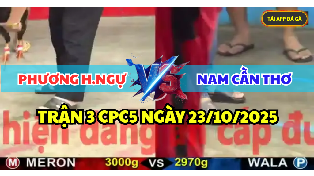 TRẬN 3 CPC5 NGÀY 23/10/2025 - PHƯƠNG HỒNG NGỰ VS NAM CẦN THƠ 7 trận 3 cpc5 ngày 23/10/2025 hôm nay