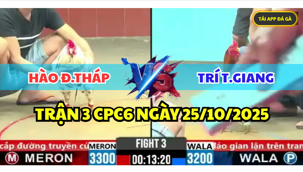TRẬN 3 CPC6 NGÀY 25/10/2025 - HÀO ĐỒNG THÁP VS TRÍ TIỀN GIANG 3 trận 3 cpc6 ngày 25/10/2025 hôm nay