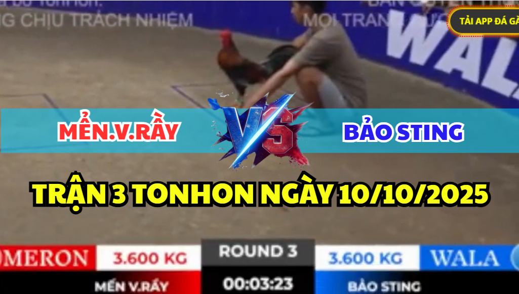 TRẬN 3 TONHON NGÀY 10/10/2025 - BẢO STING TRẬN ĐẦU RA QUÂN XỔ 200 3 trận 3 tonhon ngày 10/10/2025 hôm nay của bảo sting