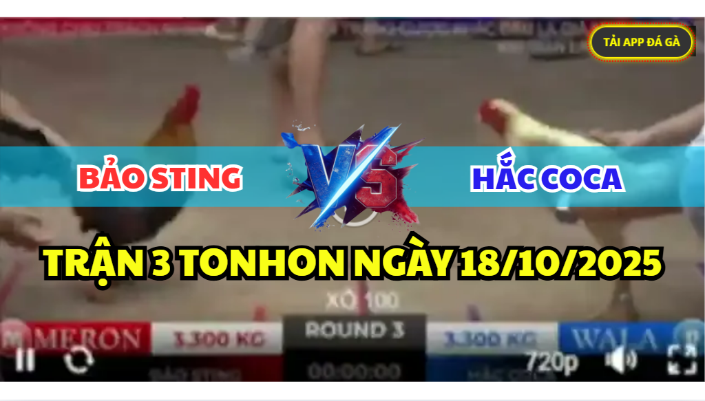 TRẬN 3 TONHON NGÀY 18/10/2025 - ANH BẢO STING ĐỐI ĐẦU HẮC COCA XỔ 100 7 trận 3 tonhon ngày 18/10/2025 hôm nay giữa bảo sting vs hắc coca