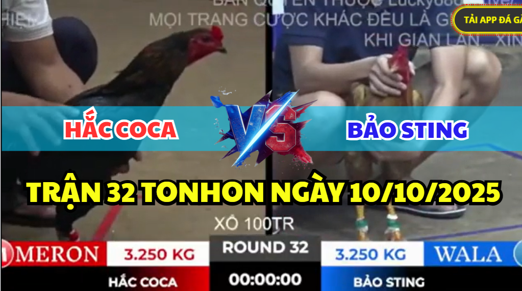TRẬN 32 TONHON NGÀY 10/10/2025 - BẢO STING TIẾP TỤC ĐỤNG ĐỘ HẮC COCA XỔ 100 2 trận 32 tonhon ngày 10/10/2025 hôm nay giữa bảo sting vs hắc coca