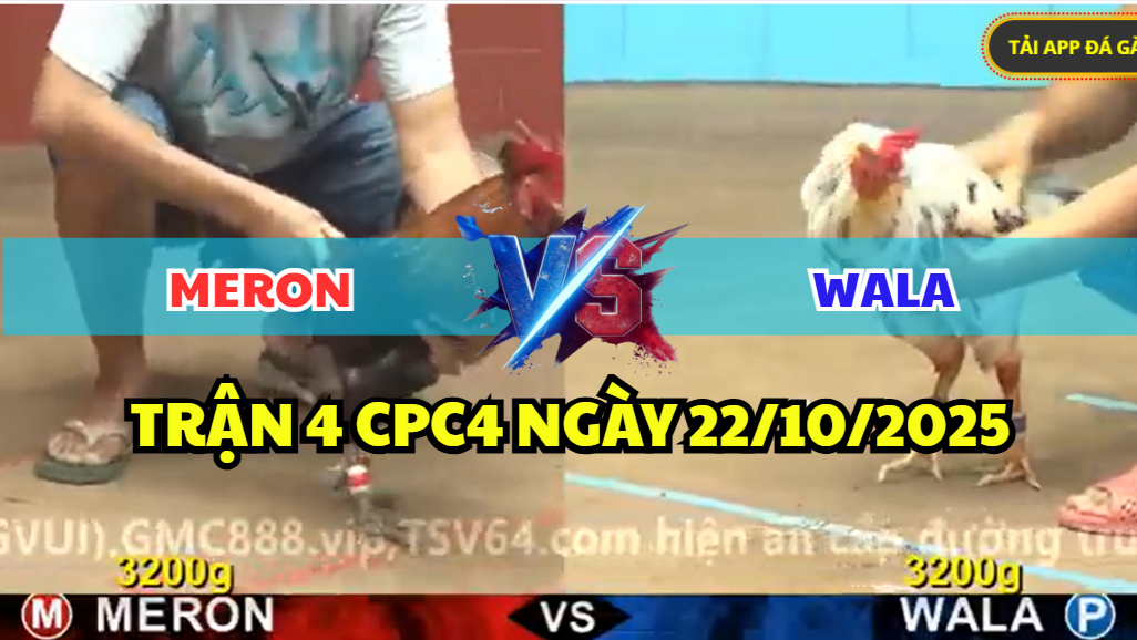 TRẬN 4 CPC4 NGÀY 22/10/2025 - BƯỚM ĐÁ CHO ĐIỀU BÔNG KHÔNG ĐƯỜNG LUI 4 trận 4 cpc4 ngày 22/10/2025 hôm nay
