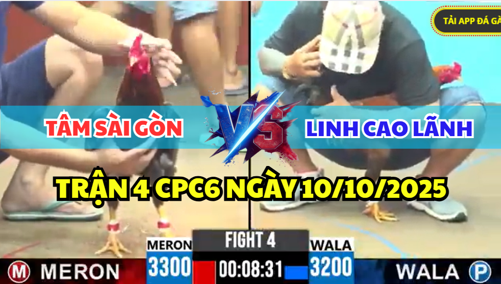 TRẬN 4 CPC6 NGÀY 13/10/2025 - TÂM SÀI GÒN ĐỐI ĐẦU LINH CAO LÃNH 6 trận 4 cpc6 ngày 13/10/2025 hôm nay