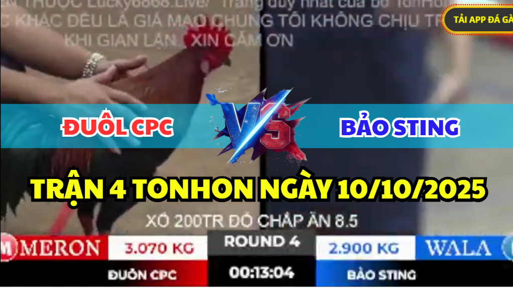 TRẬN 4 TONHON NGÀY 10/10/2025 - BẢO STING VS ANH ĐUÔL CPC GIAO LƯU 200 2 trận 4 tonhon ngày 10/10/2025 hôm nay giữa bảo sting vs đuôl cpc