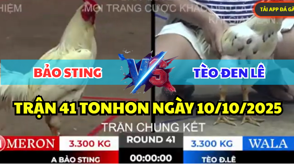 TRẬN 41 TONHON NGÀY 10/10/2025 - TRẬN CHUNG KẾT BẢO STING VS TÈO ĐEN LÊ 10 trận 41 tonhon ngày 10/10/2025 hôm nay trận chung kết giữa bảo sting vs tèo đen lê