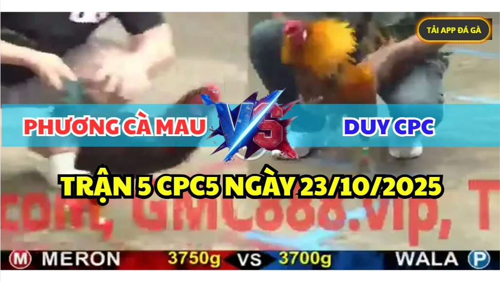 TRẬN 5 CPC5 NGÀY 23/10/2025 - PHƯƠNG CÀ MAU VS DUY CAMPUCHIA 5 trận 5 cpc5 ngày 23/10/2025 hôm nay