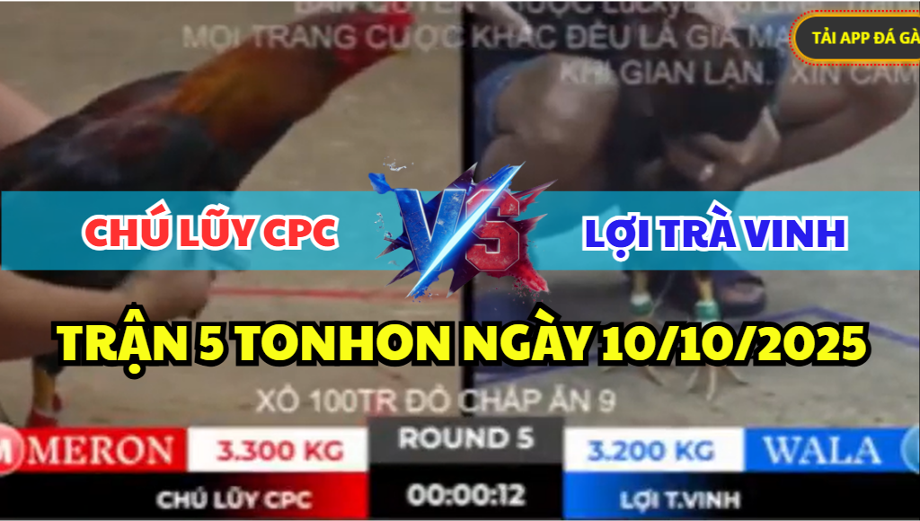 trận 5 tonhon ngày 10/10/2025 hôm nay giữa chú lũy cpc vs lợi trà vinh