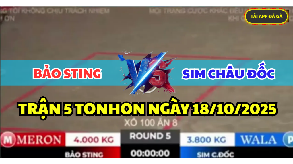 TRẬN 5 TONHON NGÀY 18/10/2025 - ANH BẢO STING VS SIM CHÂU ĐỐC XỔ 100 5 trận 5 tonhon ngày 18/10/2025 hôm nay giữa bảo sting vs anh sim châu đốc