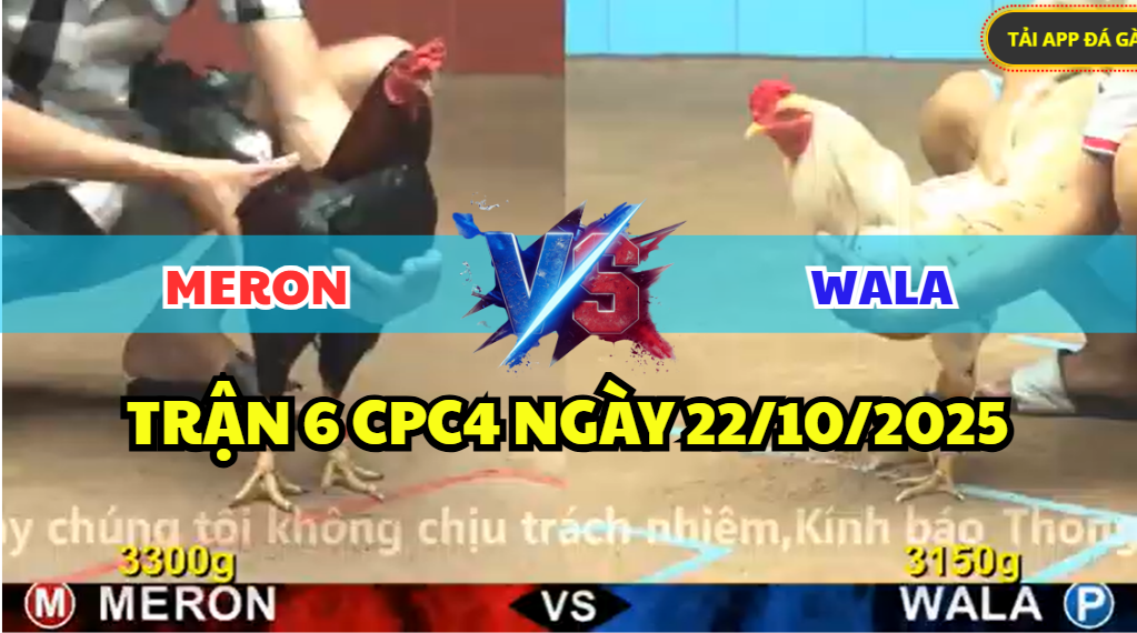 TRẬN 6 CPC4 NGÀY 22/10/2025 - BƯỚM BỎ CHẠY TRƯỚC ĐIỀU BẾN THẾ 2 trận 6 cpc4 ngày 22/10/2025 hôm nay