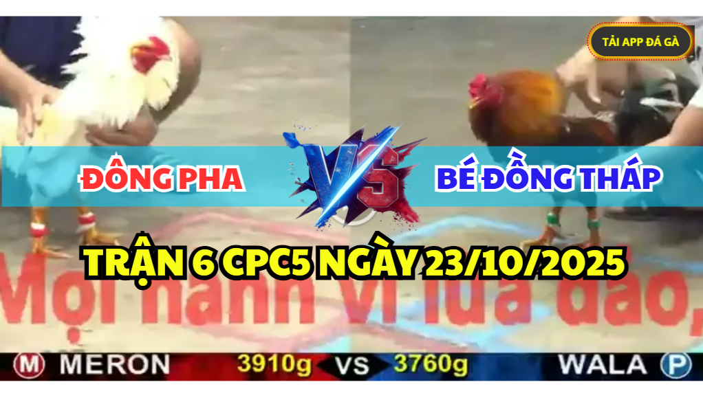 TRẬN 6 CPC5 NGÀY 23/10/2025 - ANH ĐÔNG PHA VS ANH BÉ ĐỒNG THÁP 4 trận 6 cpc5 ngày 23/10/2025 hôm nay