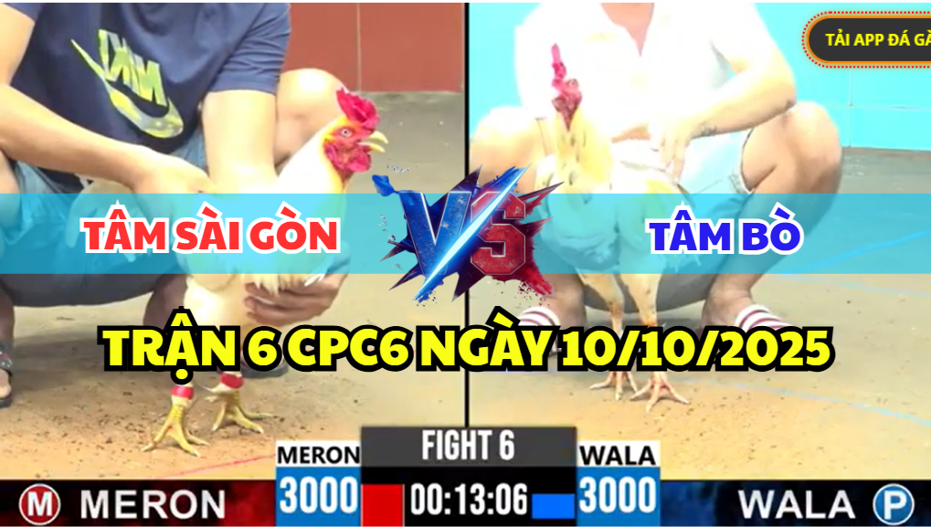 TRẬN 6 CPC6 NGÀY 13/10/2025 - TÂM SÀI GÒN ĐỐI ĐẦU TÂM BÒ 5 trận 6 cpc6 ngày 13/10/2025 hôm nay
