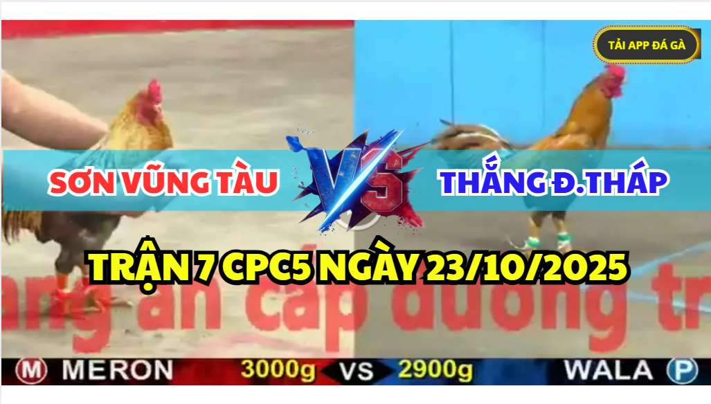 TRẬN 7 CPC5 NGÀY 23/10/2025 - SƠN VŨNG TÀU VS THẮNG ĐỒNG THÁP 3 trận 7 cpc5 ngày 23/10/2025 hôm nay
