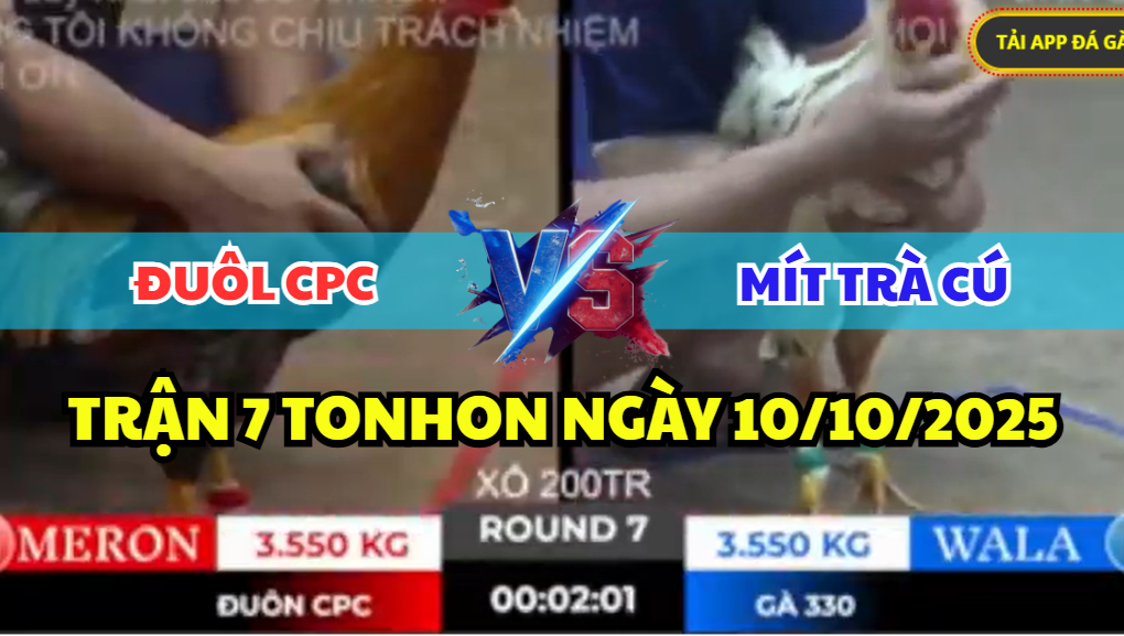 TRẬN 7 TONHON NGÀY 10/10/2025 - MÍT TRÀ CÚ BỊ ANH ĐUÔL CPC HẠ DỄ DÀNG 2 trận 7 tonhon ngày 10/10/2025 hôm nay giữa anh đuôl cpc vs mít trà cú