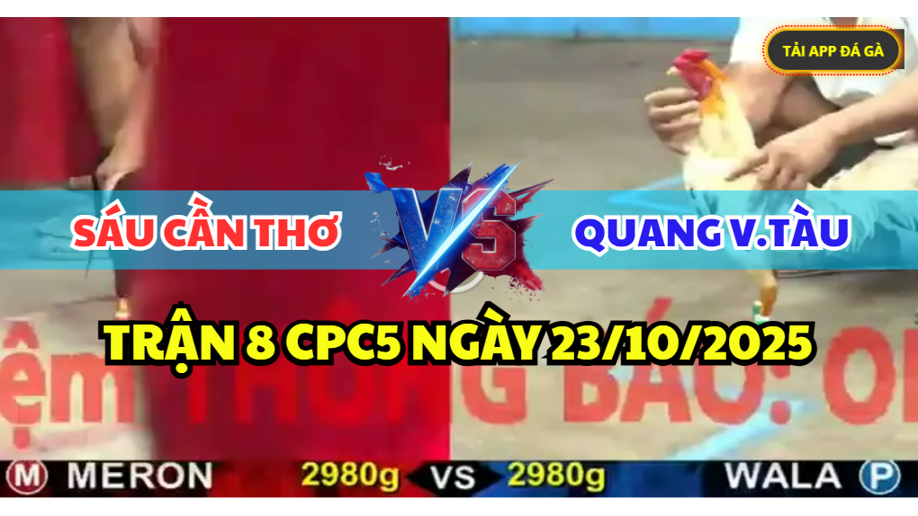TRẬN 8 CPC5 NGÀY 23/10/2025 - SÁU CẦN THƠ VS QUANG VŨNG TÀU 8 trận 8 cpc5 ngày 23/10/2025 hôm nay