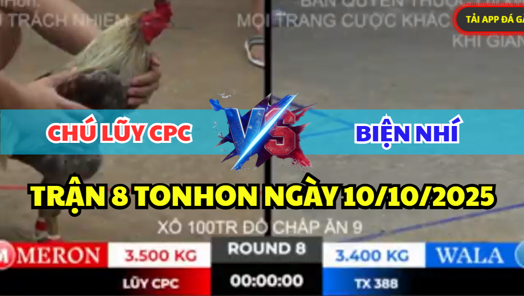 trận 8 tonhon ngày 10/10/2025 hôm nay giữa biện nhí vs chú lũy cpc