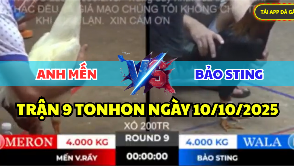 TRẬN 9 TONHON NGÀY 10/10/2025 - BẢO STING LẤY LẠI CÁI XỔ 200 TRƯỚC ANH MẾN 10 trận 9 tonhon ngày 10/10/2025 hôm nay giữa bảo sting vs anh mến